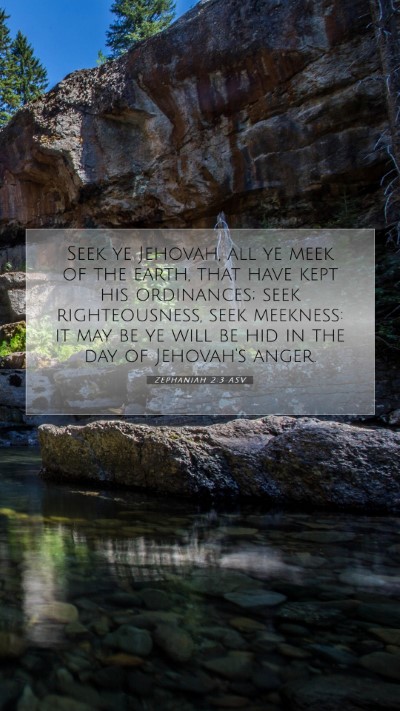 Picture 07 - Zephaniah 2:3 ASV Mobile Phone Wallpaper - Seek ye Jehovah, all ye meek of the earth, that - Mobile Bible Verse Wallpaper